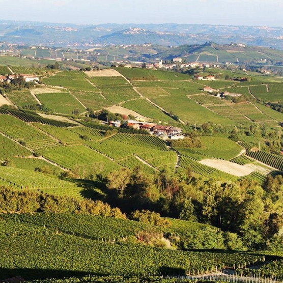 langhe