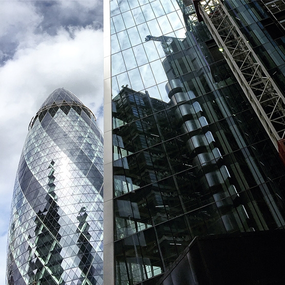 gherkin